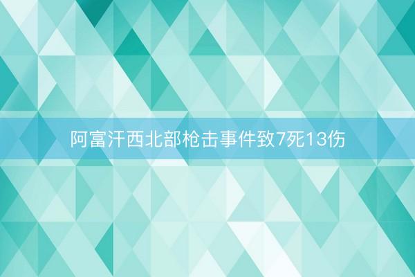 阿富汗西北部枪击事件致7死13伤