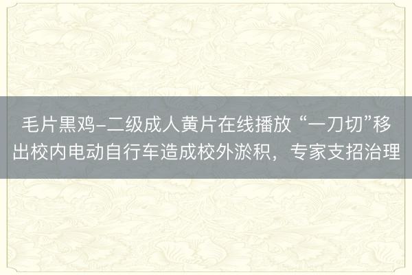毛片黒鸡-二级成人黄片在线播放 “一刀切”移出校内电动自行车造成校外淤积，专家支招治理
