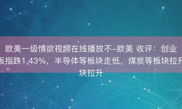 欧美一级情欲视频在线播放不-欧美 收评：创业板指跌1.43%，半导体等板块走低，煤炭等板块拉升