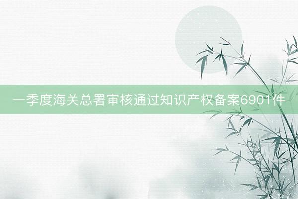 一季度海关总署审核通过知识产权备案6901件