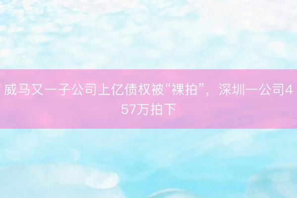 威马又一子公司上亿债权被“裸拍”，深圳一公司457万拍下