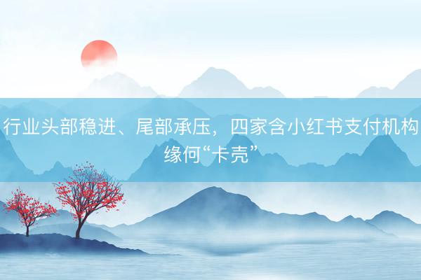 行业头部稳进、尾部承压，四家含小红书支付机构缘何“卡壳”