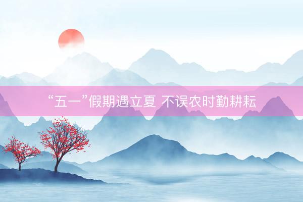 “五一”假期遇立夏 不误农时勤耕耘