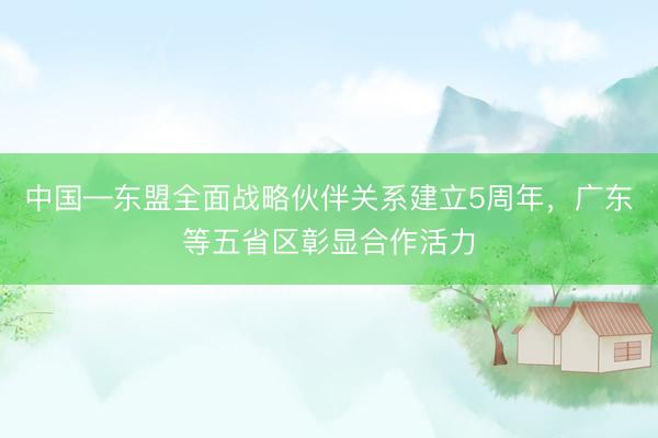 中国—东盟全面战略伙伴关系建立5周年，广东等五省区彰显合作活力