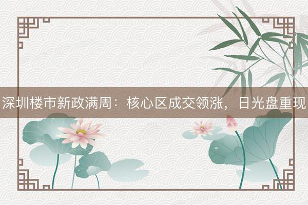 深圳楼市新政满周：核心区成交领涨，日光盘重现