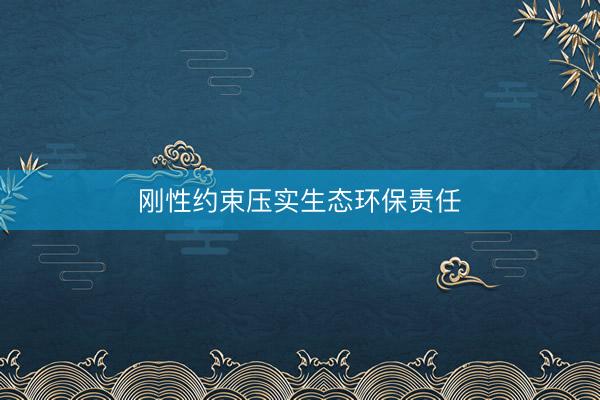刚性约束压实生态环保责任