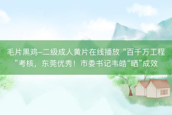 毛片黒鸡-二级成人黄片在线播放 “百千万工程”考核，东莞优秀！市委书记韦皓“晒”成效