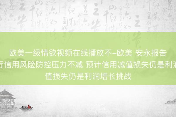 欧美一级情欲视频在线播放不-欧美 安永报告：上市银行信用风险防控压力不减 预计信用减值损失仍是利润增长挑战