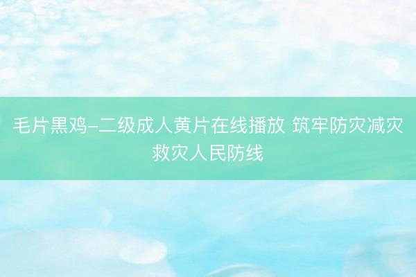 毛片黒鸡-二级成人黄片在线播放 筑牢防灾减灾救灾人民防线