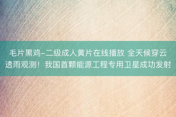 毛片黒鸡-二级成人黄片在线播放 全天候穿云透雨观测！我国首颗能源工程专用卫星成功发射