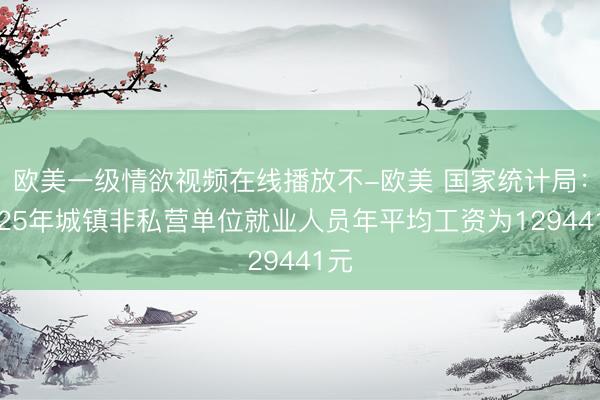 欧美一级情欲视频在线播放不-欧美 国家统计局：2025年城镇非私营单位就业人员年平均工资为129441元