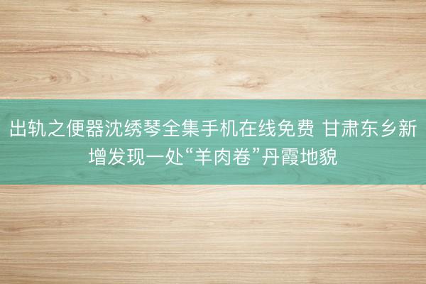 出轨之便器沈绣琴全集手机在线免费 甘肃东乡新增发现一处“羊肉卷”丹霞地貌