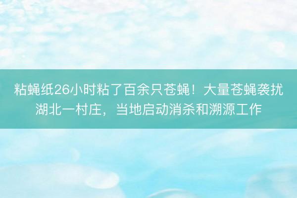 粘蝇纸26小时粘了百余只苍蝇！大量苍蝇袭扰湖北一村庄，当地启动消杀和溯源工作