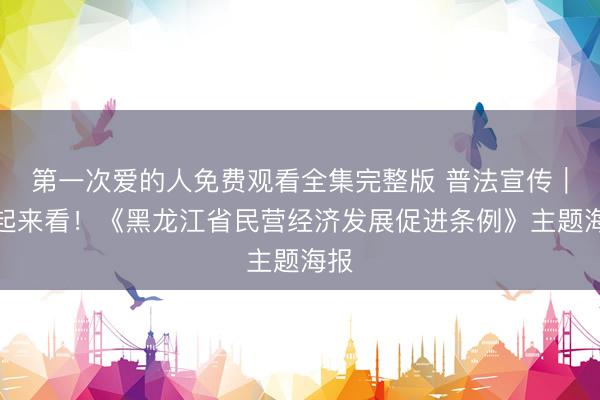 第一次爱的人免费观看全集完整版 普法宣传｜一起来看！《黑龙江省民营经济发展促进条例》主题海报