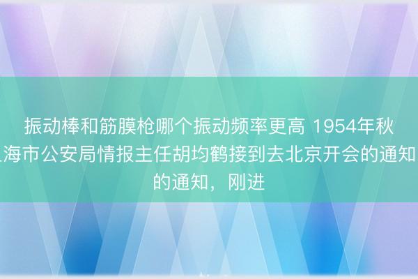 振动棒和筋膜枪哪个振动频率更高 1954年秋天，上海市公安局情报主任胡均鹤接到去北京开会的通知，刚进