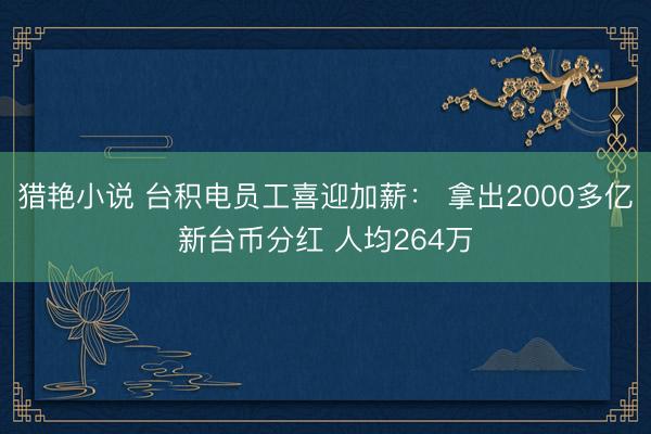 猎艳小说 台积电员工喜迎加薪： 拿出2000多亿新台币分红 人均264万