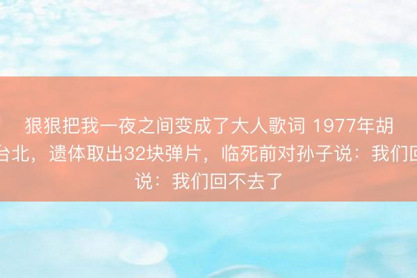 狠狠把我一夜之间变成了大人歌词 1977年胡琏猝死台北，遗体取出32块弹片，临死前对孙子说：我们回不去了