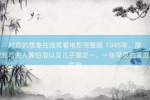 对你的想象在线观看电影完整版 1945年，廖耀湘与夫人黄伯溶以及儿子廖定一，一张罕见的家庭照