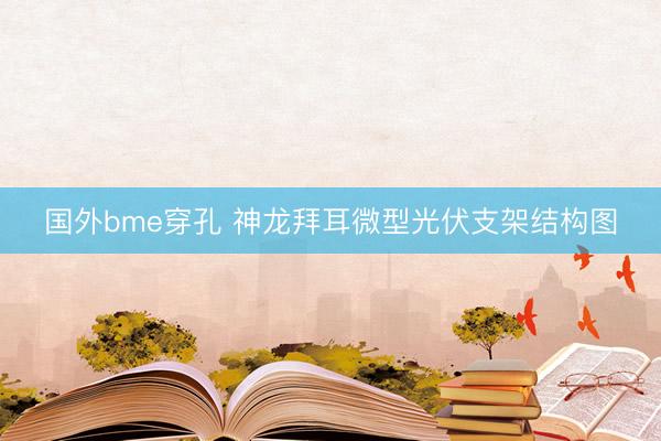 国外bme穿孔 神龙拜耳微型光伏支架结构图