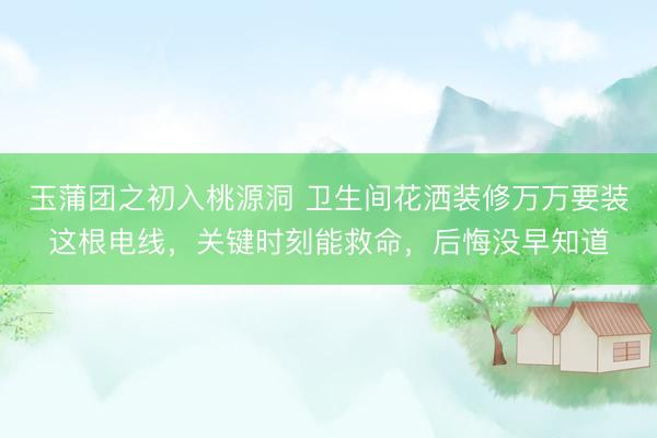 玉蒲团之初入桃源洞 卫生间花洒装修万万要装这根电线,关键时刻能救命,后悔没早知道