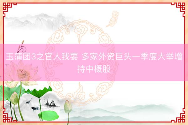 玉蒲团3之官人我要 多家外资巨头一季度大举增持中概股