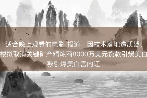适合晚上观看的电影 报道：因技术落地遭质疑，五角大楼拟取消关键矿产精炼商8000万美元贷款引爆美白宫内讧