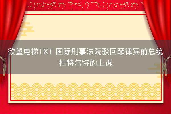 欲望电梯TXT 国际刑事法院驳回菲律宾前总统杜特尔特的上诉