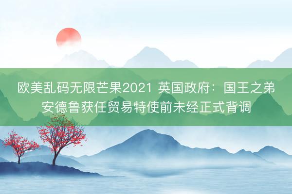 欧美乱码无限芒果2021 英国政府：国王之弟安德鲁获任贸易特使前未经正式背调