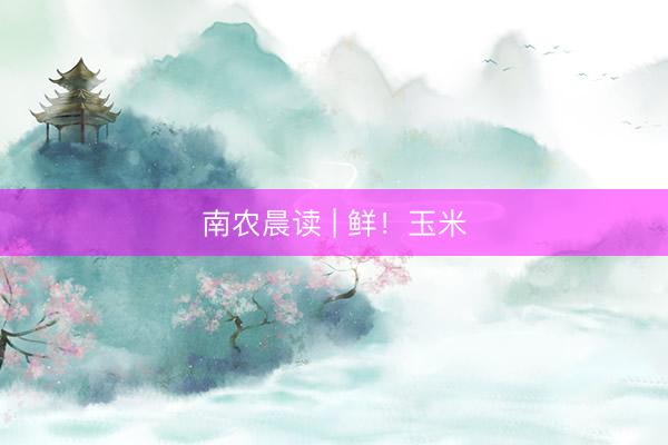 南农晨读 | 鲜！玉米