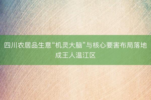 四川农居品生意“机灵大脑”与核心要害布局落地成王人温江区