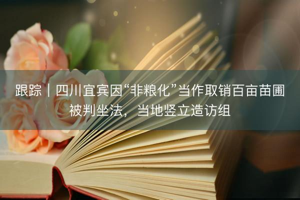 跟踪｜四川宜宾因“非粮化”当作取销百亩苗圃被判坐法，当地竖立造访组
