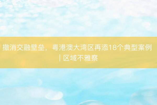 撤消交融壁垒，粤港澳大湾区再添18个典型案例 | 区域不雅察