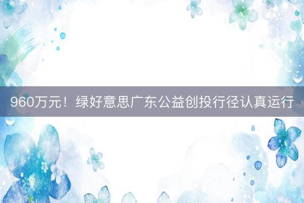 960万元！绿好意思广东公益创投行径认真运行