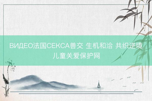 ВИДЕО法国СЕКСА兽交 生机和洽 共织逆境儿童关爱保护网