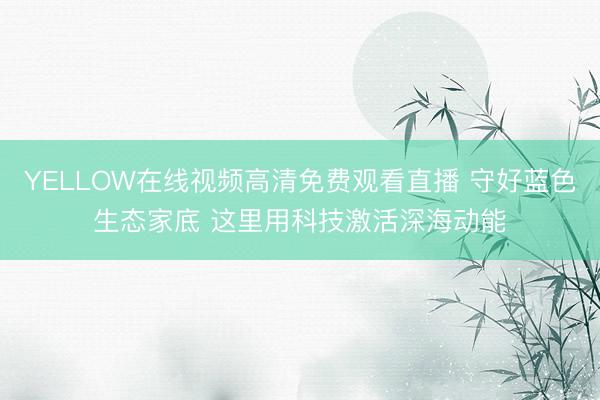 YELLOW在线视频高清免费观看直播 守好蓝色生态家底 这里用科技激活深海动能