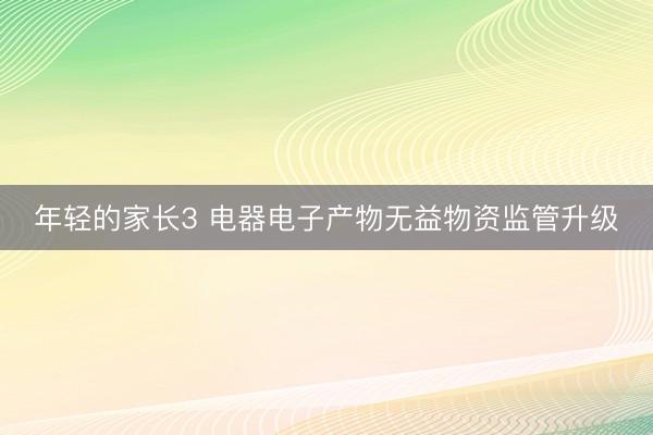 年轻的家长3 电器电子产物无益物资监管升级