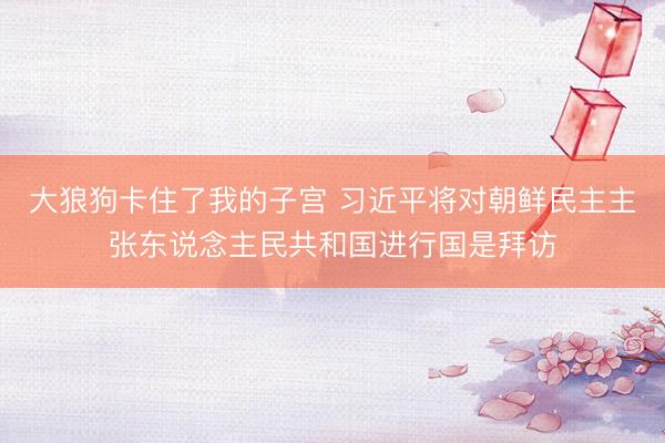 大狼狗卡住了我的子宫 习近平将对朝鲜民主主张东说念主民共和国进行国是拜访