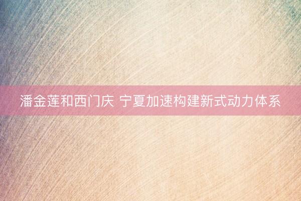 潘金莲和西门庆 宁夏加速构建新式动力体系