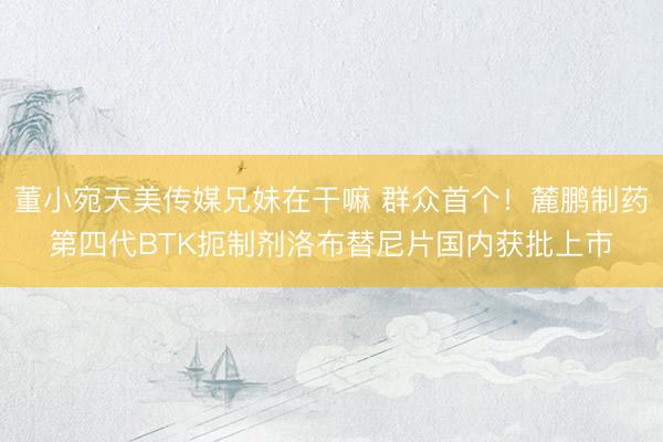 董小宛天美传媒兄妹在干嘛 群众首个！麓鹏制药第四代BTK扼制剂洛布替尼片国内获批上市