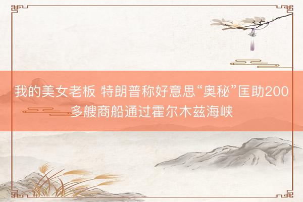 我的美女老板 特朗普称好意思“奥秘”匡助200多艘商船通过霍尔木兹海峡