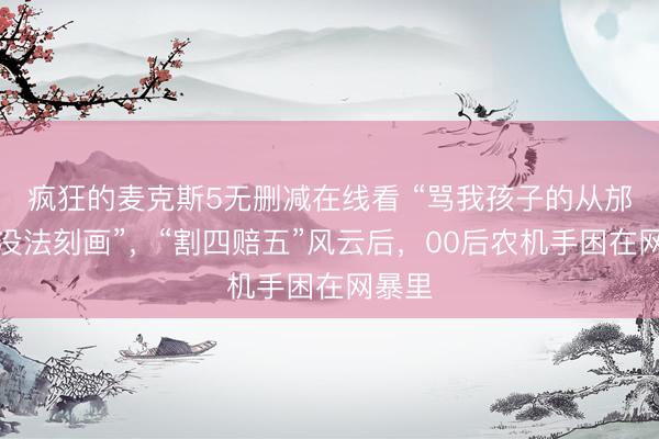 疯狂的麦克斯5无删减在线看 “骂我孩子的从邡话皆没法刻画”，“割四赔五”风云后，00后农机手困在网暴里