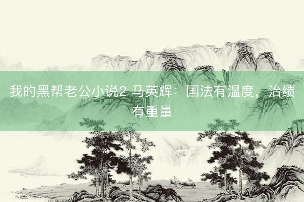 我的黑帮老公小说2 马英辉：国法有温度，治绩有重量