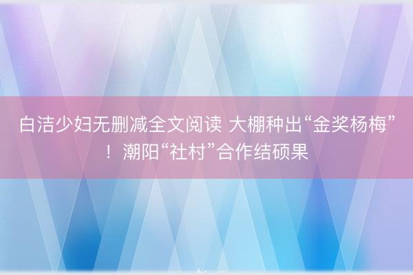 白洁少妇无删减全文阅读 大棚种出“金奖杨梅”！潮阳“社村”合作结硕果
