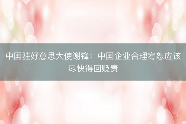 中国驻好意思大使谢锋：中国企业合理宥恕应该尽快得回贬责
