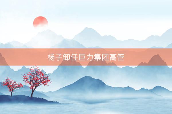 杨子卸任巨力集团高管